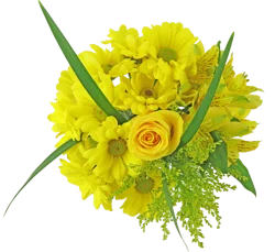 Bloom Haus Celebrate Fresh Flower Bouquet, 5 stems