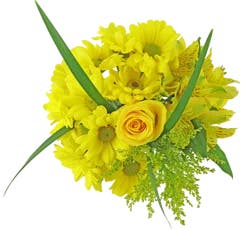 Bloom Haus Celebrate Fresh Flower Bouquet, 5 stems
