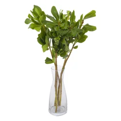 Diy Assorted Greens Cb 5St - Ea