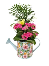 Indoor Garden Planter, Assorted Foliage