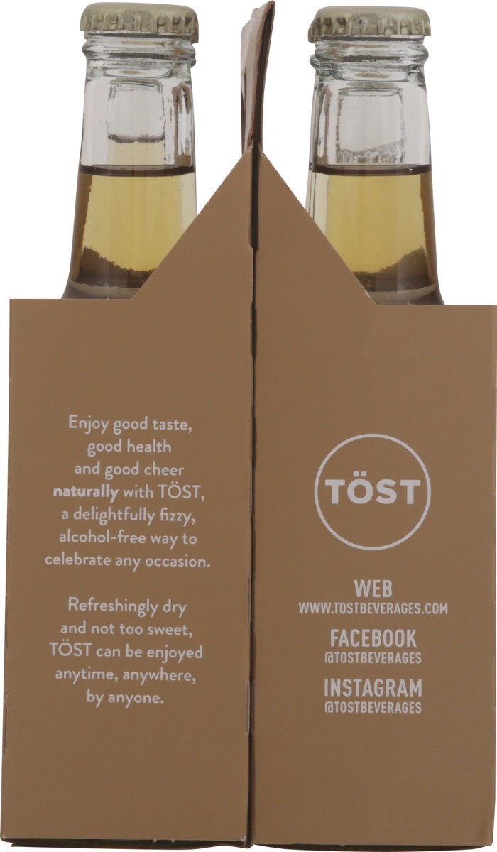 slide 7 of 13, Tost Cranberry & Ginger Sparkling White Tea - 4 ct, 4 ct; 250 ml