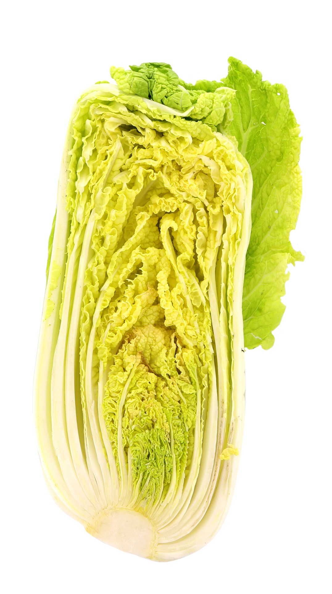 slide 1 of 1, Nappa Cabbage, 1 ct