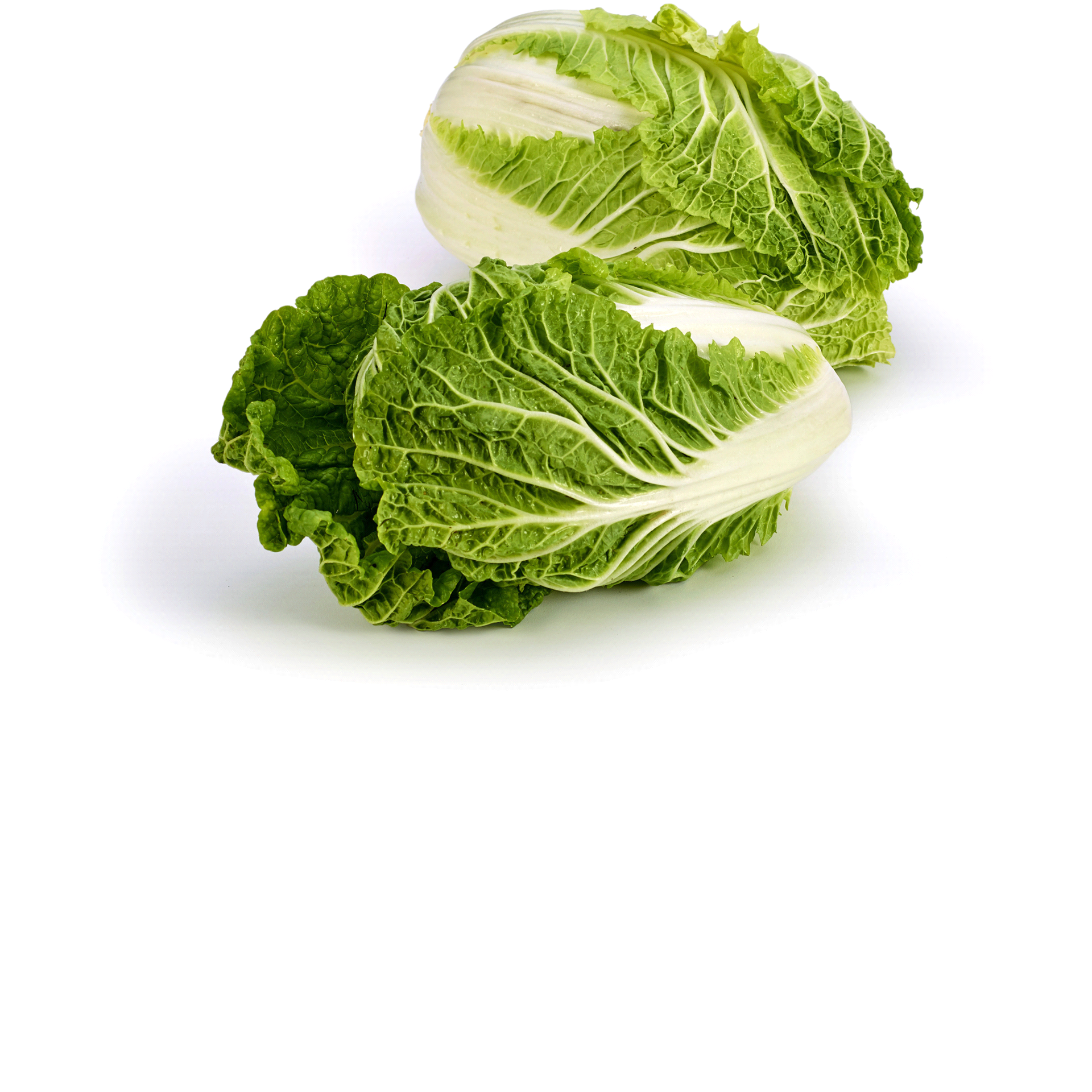 slide 1 of 1, Fresh Nappa Cabbage, 1 ct