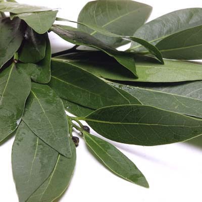 slide 1 of 1, Melissa's Bay Leaf Organic, 0.75 oz