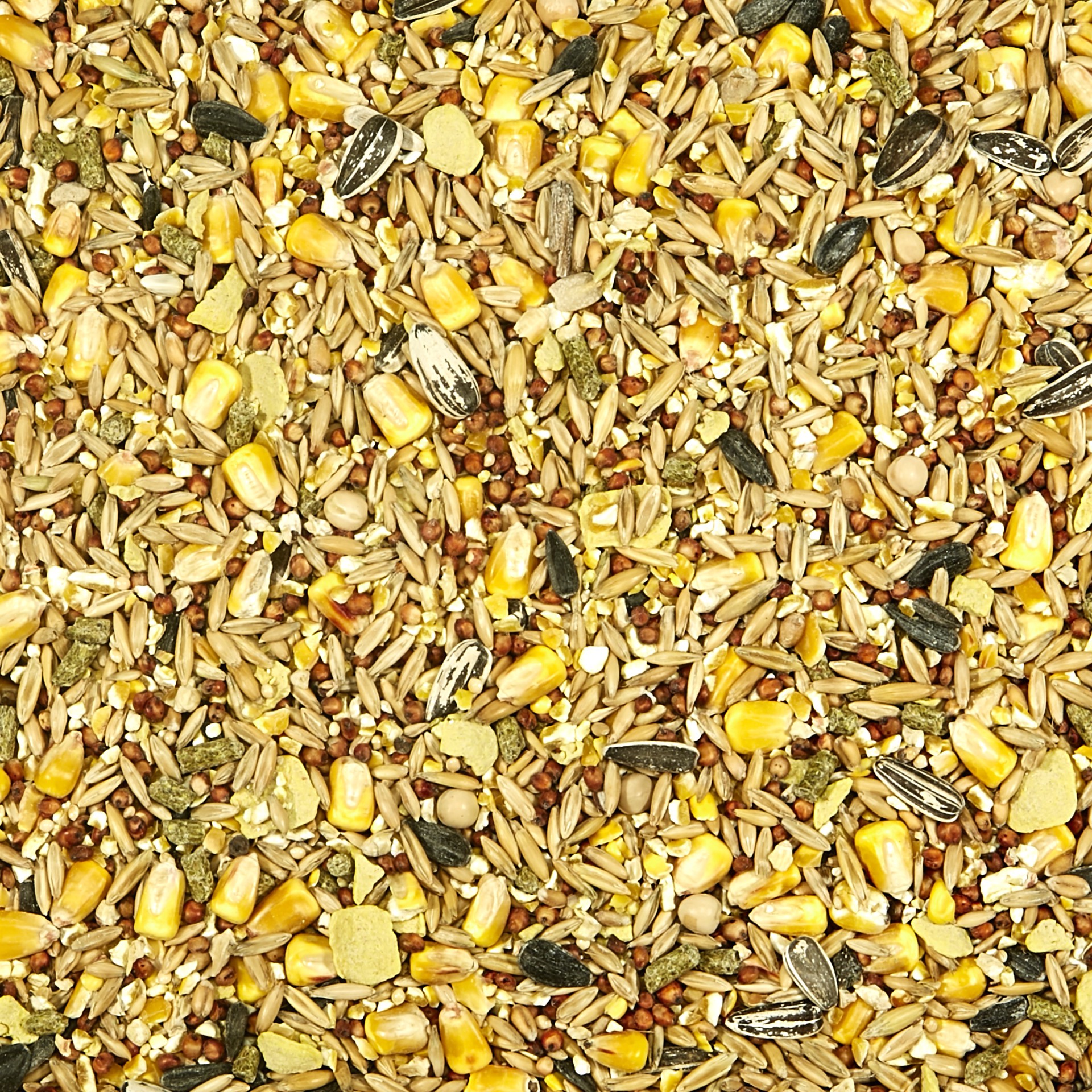 slide 3 of 5, Kaytee Backyard Wildlife Food For Wild Rabbits, Squirrels, and Chipmunks, 5 lb, 1 ct