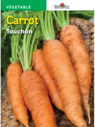 Burpee Touchon Carrot Seeds - Orange