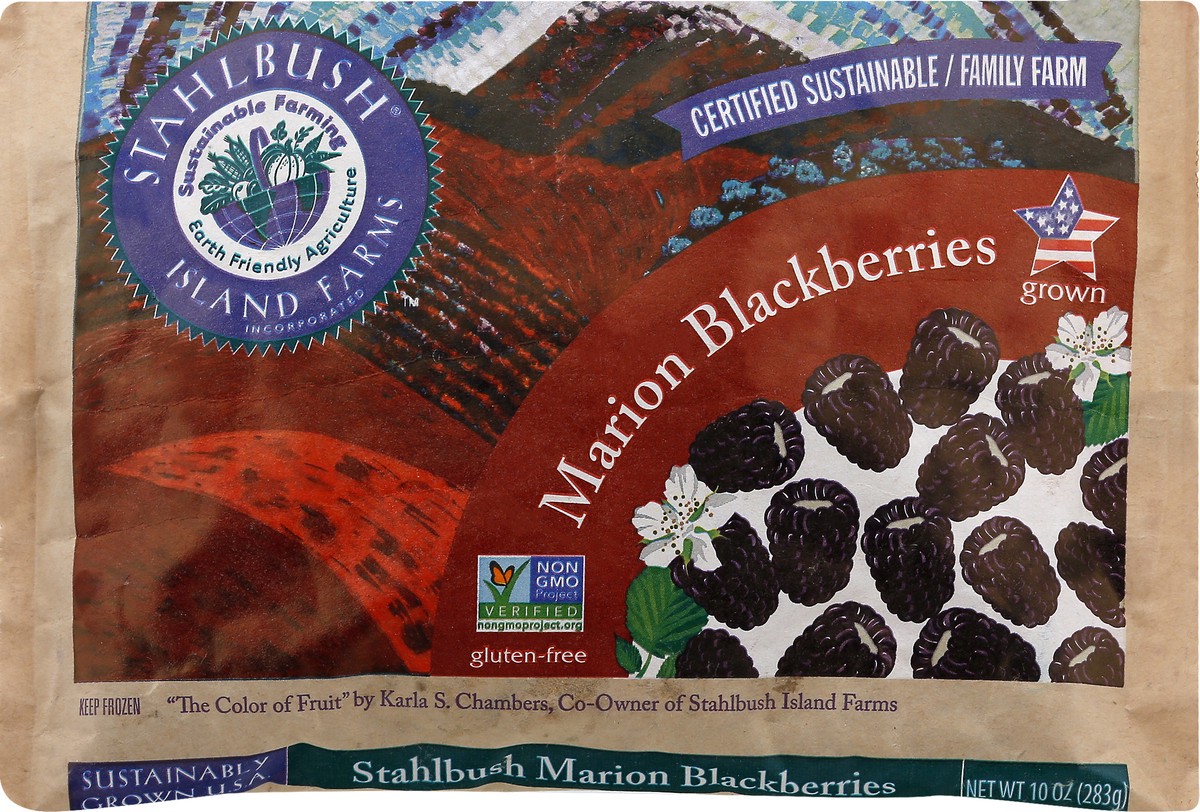 slide 1 of 12, Stahlbush Island Farms Marion Blackberries 10 oz, 10 oz