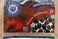 Stahlbush Island Farms Marion Blackberries 10 oz