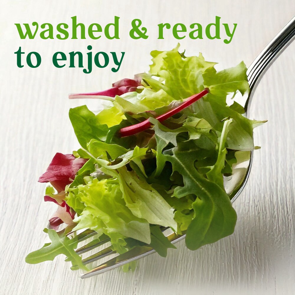 slide 2 of 4, Simple Truth Organic Very Veggie Medley Salad Starter, 10 oz