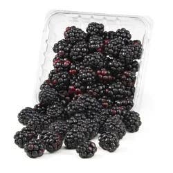 Organic Blackberries