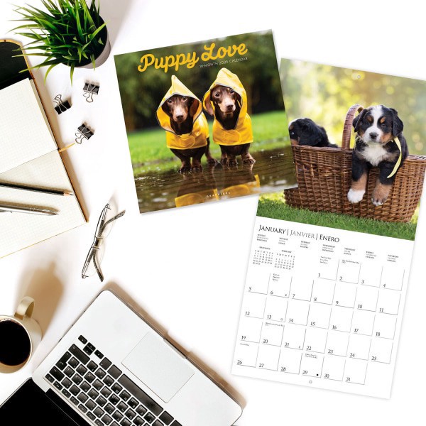 slide 4 of 5, 2025 Graphique Animals Monthly Wall Calendar, 12"" X 12"", Puppy Love, January 2025 To December 2025, Cy972, 1 ct
