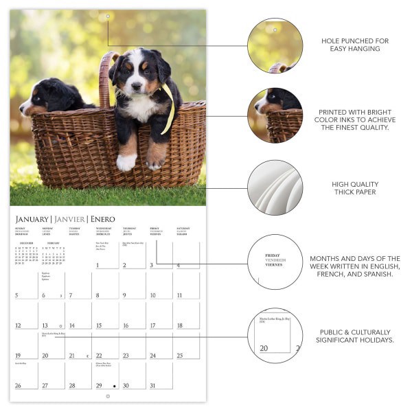 slide 3 of 5, 2025 Graphique Animals Monthly Wall Calendar, 12"" X 12"", Puppy Love, January 2025 To December 2025, Cy972, 1 ct