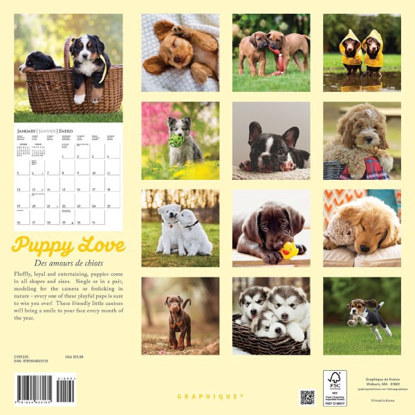 slide 2 of 5, 2025 Graphique Animals Monthly Wall Calendar, 12"" X 12"", Puppy Love, January 2025 To December 2025, Cy972, 1 ct