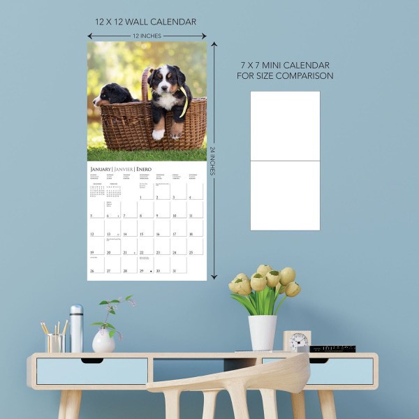 slide 5 of 5, 2025 Graphique Animals Monthly Wall Calendar, 12"" X 12"", Puppy Love, January 2025 To December 2025, Cy972, 1 ct