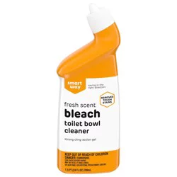 Smart Way Toilet Bowl Cleaner