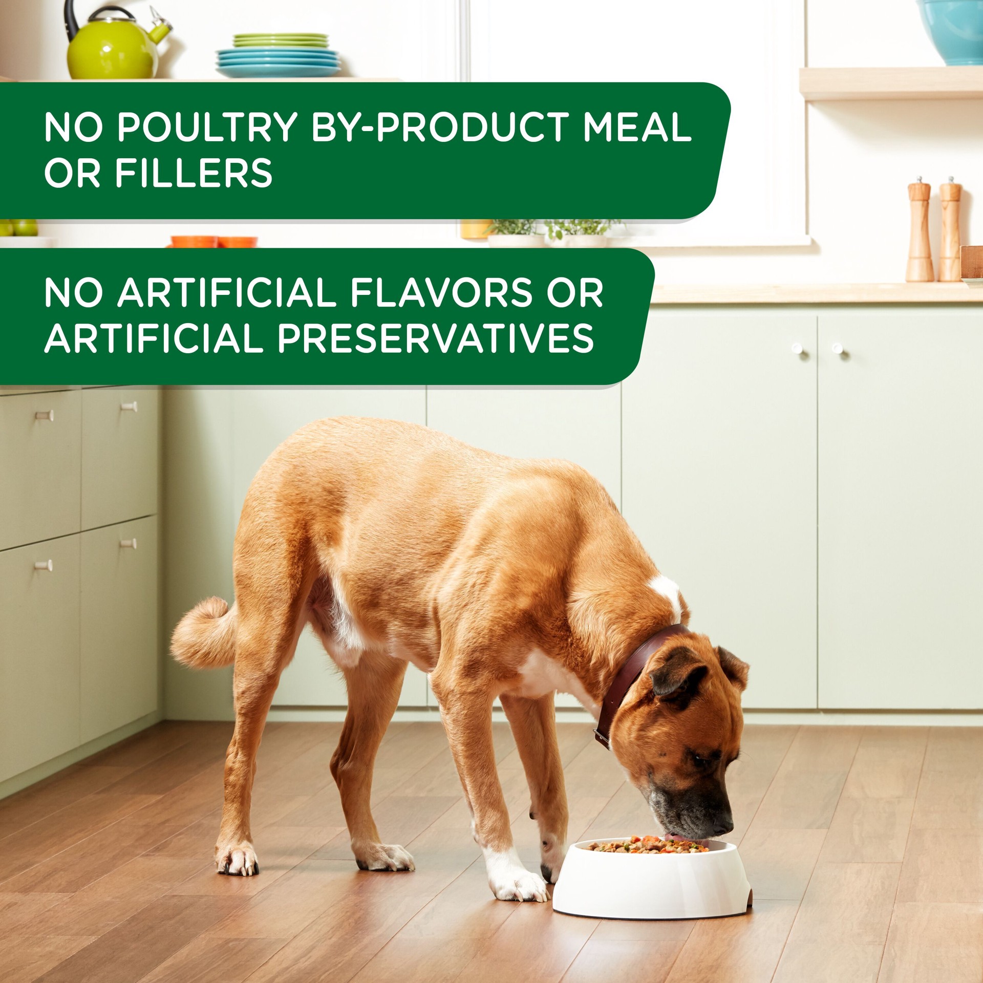 slide 2 of 9, Rachael Ray Nutrish Dog Food, Chicken, 1 ct