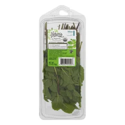 Nature's Promise Organic Mint Fresh