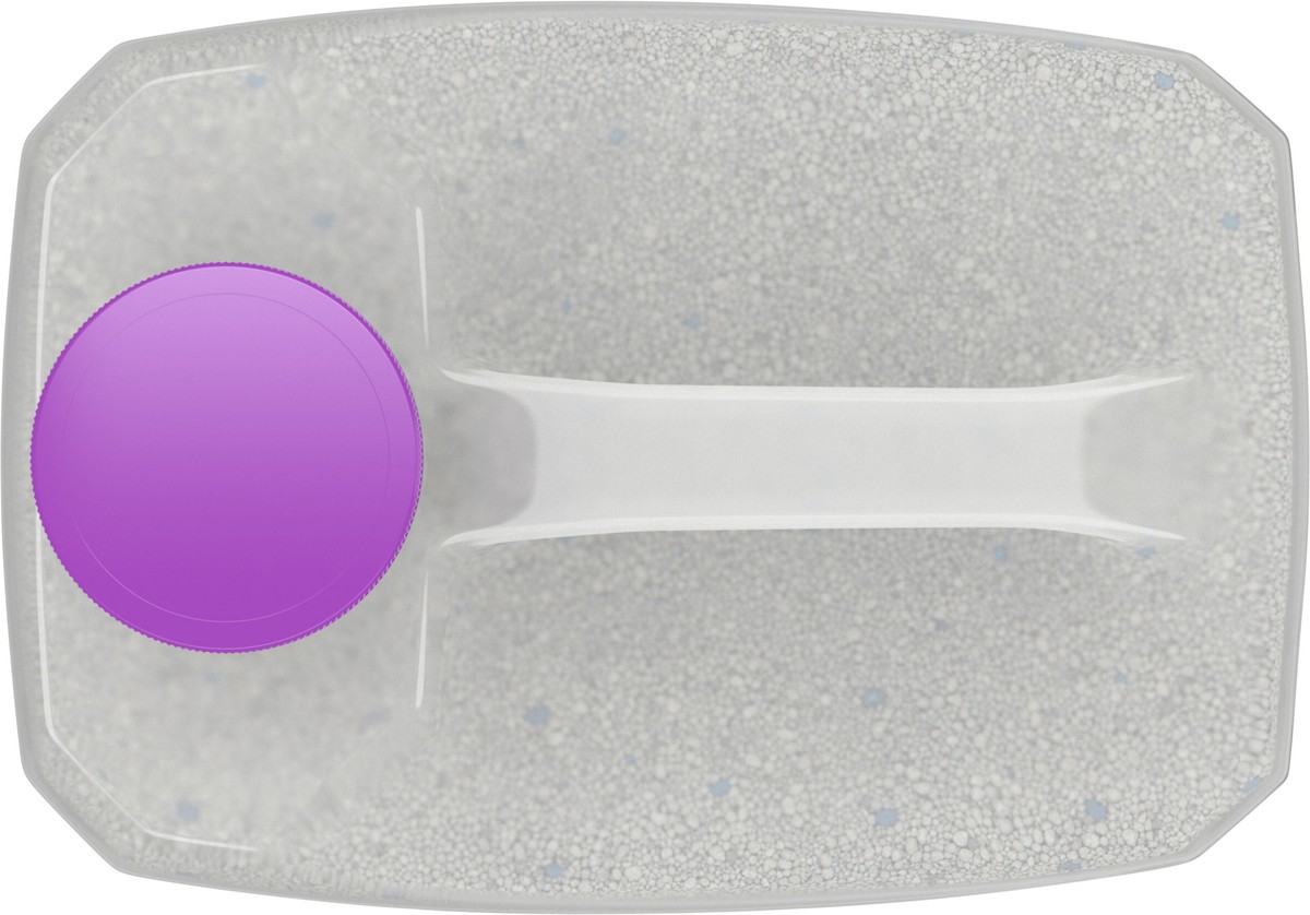 slide 10 of 12, Tidy Cats Purina Tidy Cats LightWeight, Low Dust, Clumping Cat Litter Odor Control, LightWeight Glade Clean Blossoms Multi Cat Litter - 8.5 lb. Jug, 8.5 lb