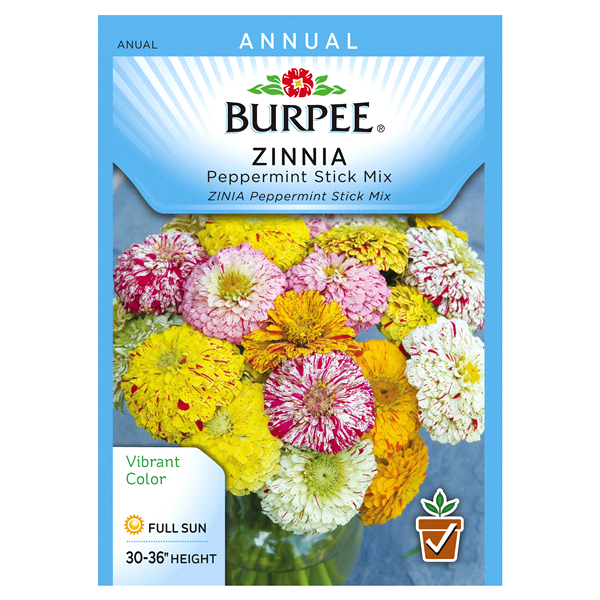 slide 1 of 1, Burpee Zinnia Peppermint Stick Mix Seeds, 1 ct