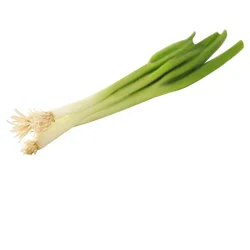 Scallions