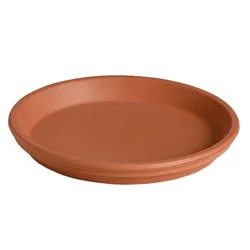 Deroma Spa Red Clay Saucer