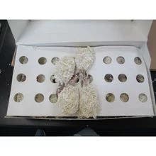 Tampa Maid Coconut Breaded Shrimp, 21-25 per lb