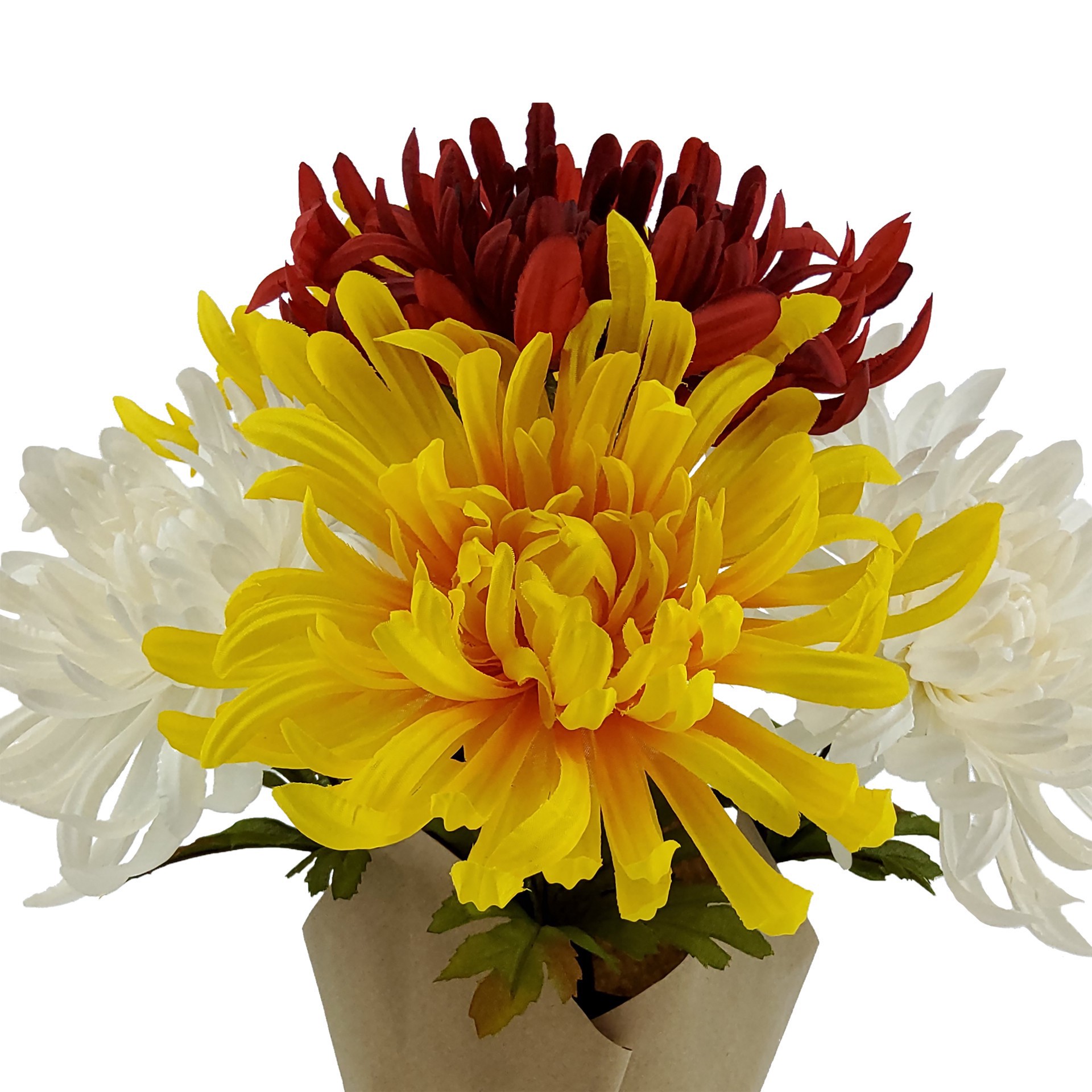 slide 3 of 3, 14" Potted Mum By Ashland, 12 in x 12 in x 14 in