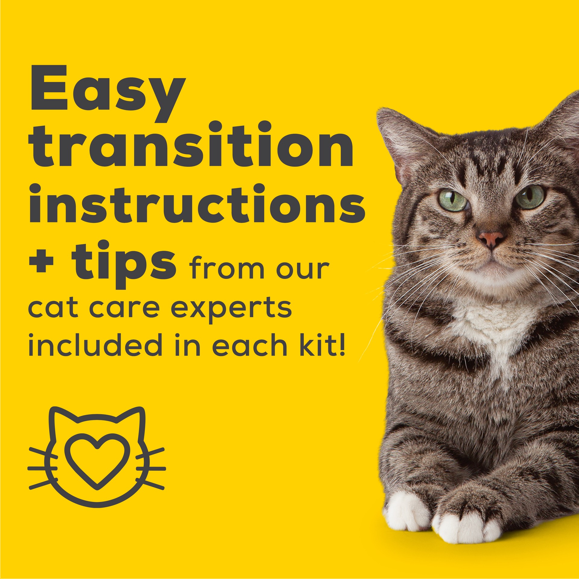 slide 2 of 8, Tidy Cats Breeze XL All-in-One Kit 1 ea, 16.5 lb