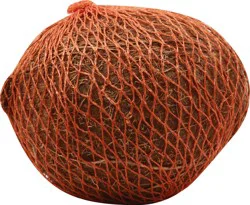 Coconut 1 ea