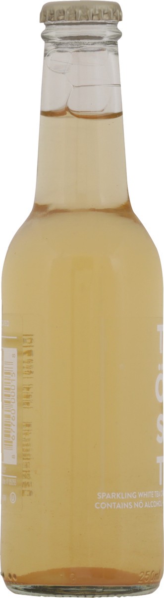slide 13 of 13, Tost Cranberry & Ginger Sparkling White Tea- 8.45 fl oz, 