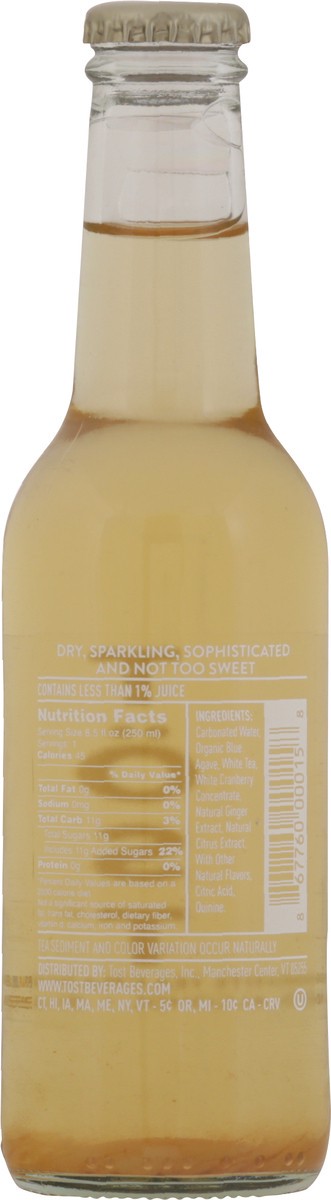 slide 8 of 13, Tost Cranberry & Ginger Sparkling White Tea- 8.45 fl oz, 