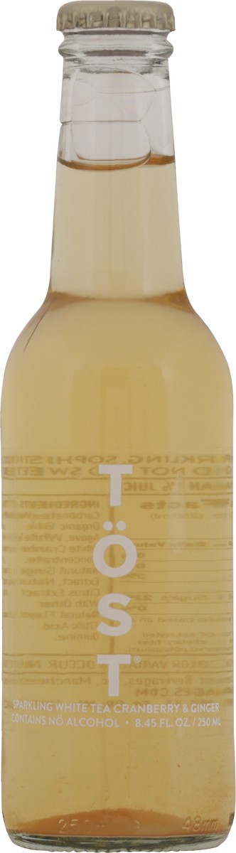slide 6 of 13, Tost Cranberry & Ginger Sparkling White Tea- 8.45 fl oz, 