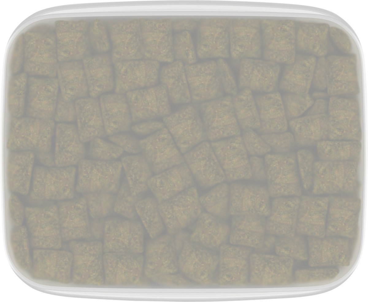 slide 4 of 9, Temptations Blissful Catnip Flavor Treats for Cats Value Size 16 oz, 16 oz