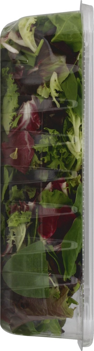 slide 3 of 4, Fresh Express Spring Mix, 10 oz