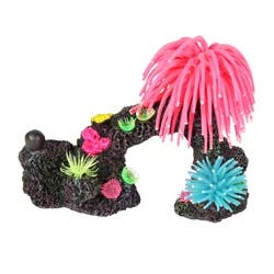 Meijer Decor Coral with Anemone