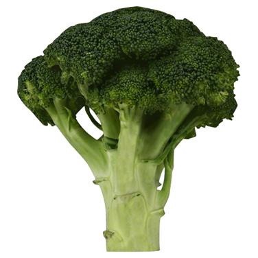 slide 1 of 1, Produce Broccoli 1 ea, 1 ct