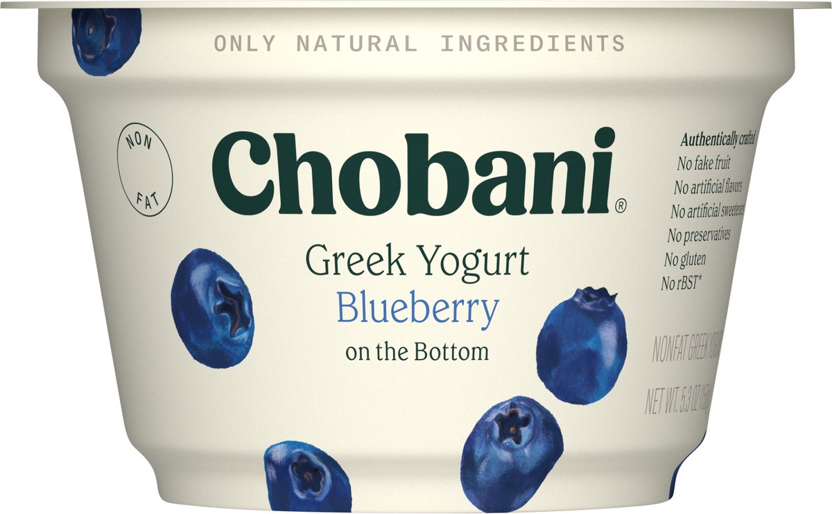 slide 6 of 9, Chobani® nonfat Greek yogurt, blueberry, 