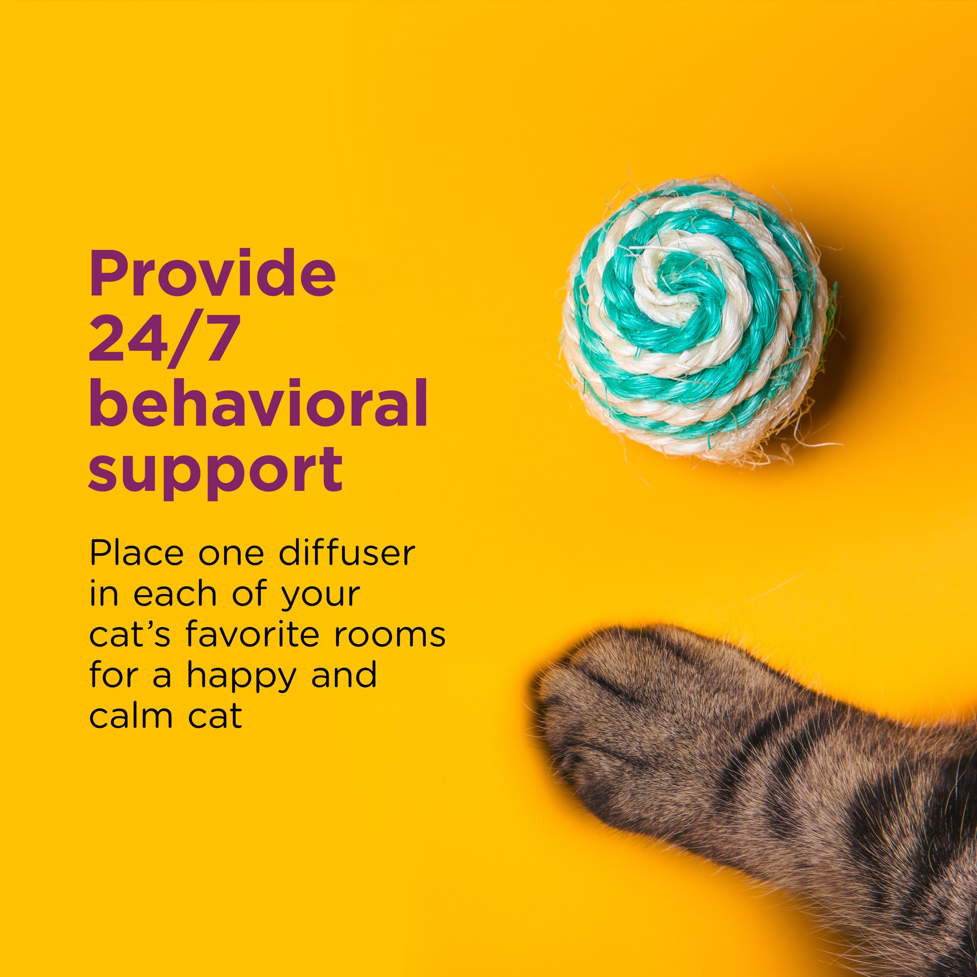 slide 3 of 7, Comfort Zone Cat Calming Diffuser Kit, Cat Pheromone, 2 Diffusers and 2-1.62 fl ox (48mL) Refills, New Formula, 1 ct