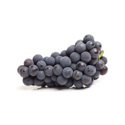 Seedless Gum Drop Grapes