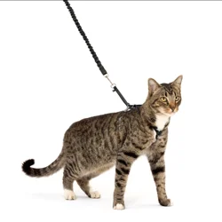 Premier PetSafe Come With Me Kitty Harness & Bungee Leash Large Black