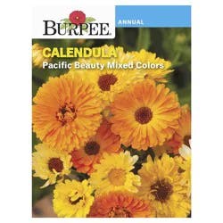 Burpee Calendula Pacific Beauty Mix Seeds