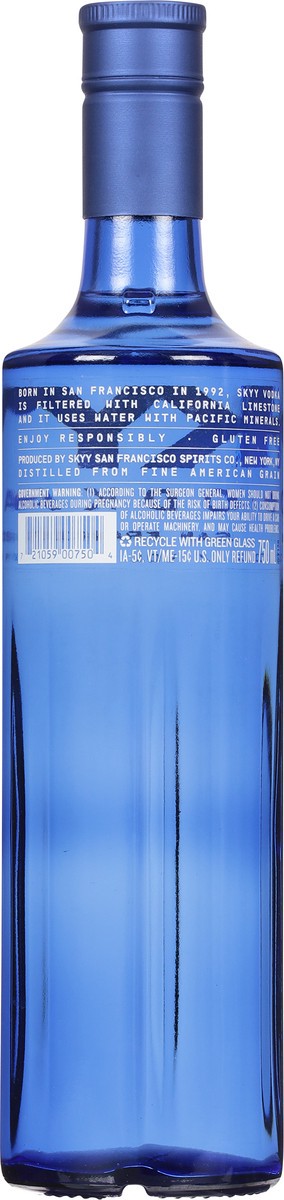 slide 7 of 9, Skyy Vodka - 750ml Bottle, 750 ml