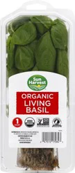 Sun Harvest Organic Living Basil