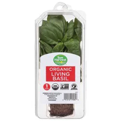 Sun Harvest Organic Living Basil
