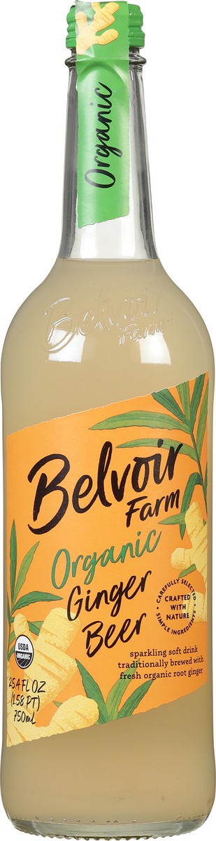 slide 6 of 9, Belvoir Farm Organic Ginger Beer Sparkling Soft Drink 25.4 fl oz, 25.4 fl oz