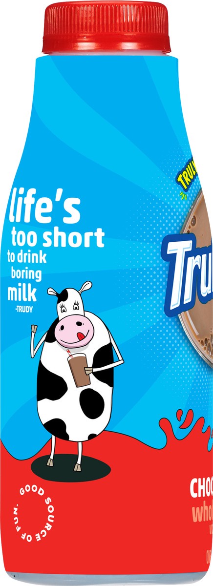 slide 5 of 9, TruMoo Chocolate Whole Milk Pint, 1 pint