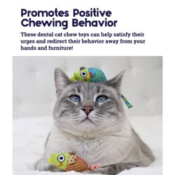 Petstages Catnip Chew Mice Cat Toy