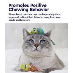 Petstages Catnip Chew Mice Cat Toy