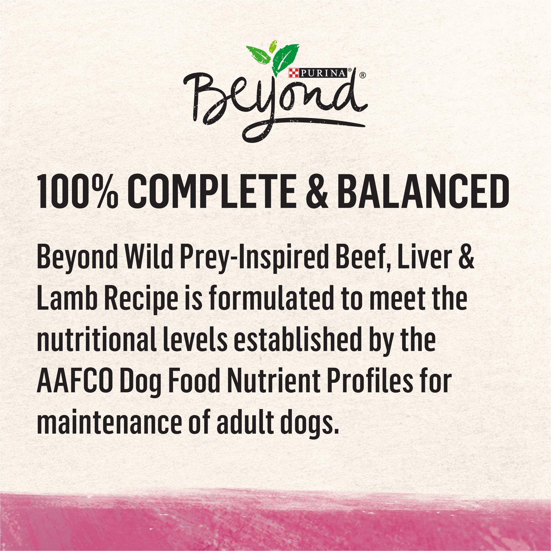 slide 2 of 8, Beyond Purina Beyond High Protein, Grain Free, Natural Pate Wet Dog Food, WILD Beef, Liver & Lamb Recipe, 13 oz