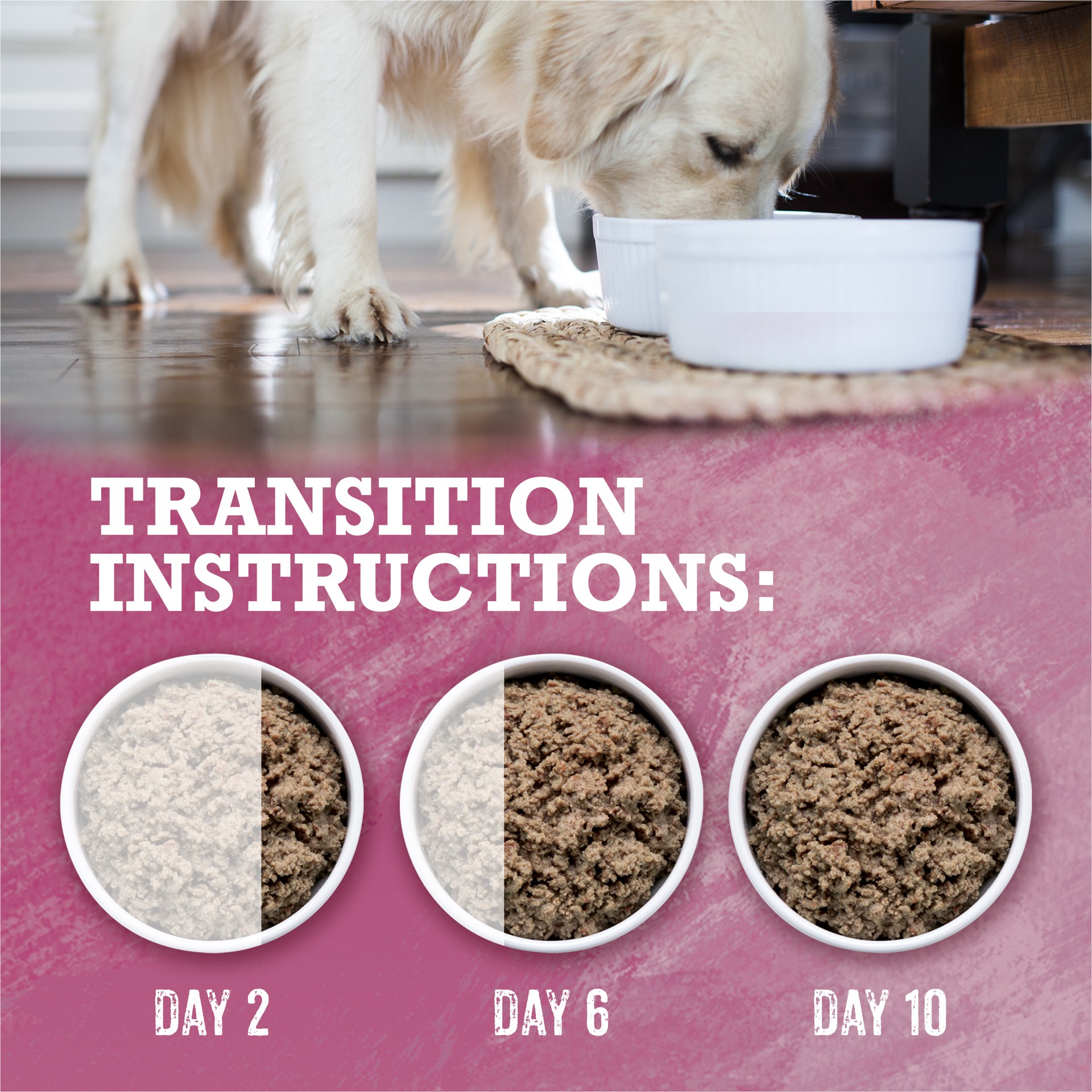 slide 6 of 8, Beyond Purina Beyond High Protein, Grain Free, Natural Pate Wet Dog Food, WILD Beef, Liver & Lamb Recipe, 13 oz